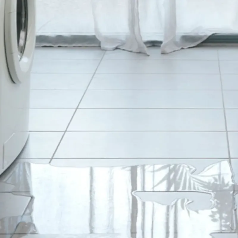 Appliance Leak Cleanup in Cherokee County, IA