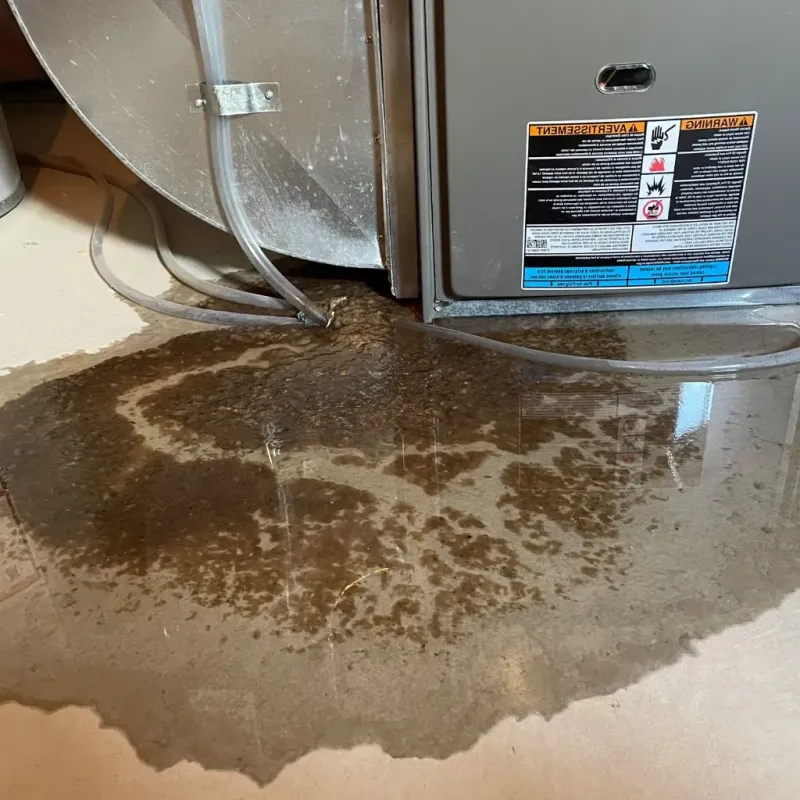 Pipe Burst and Leak Restoration in Cherokee County, IA