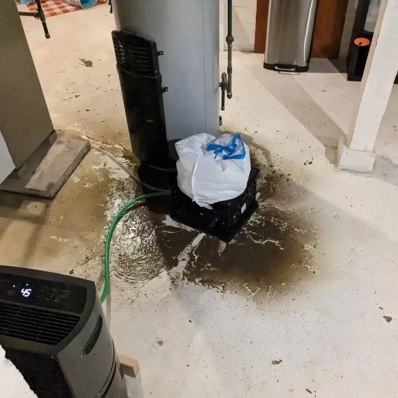 Sewage Backup Cleanup Service in Cherokee County, IA
